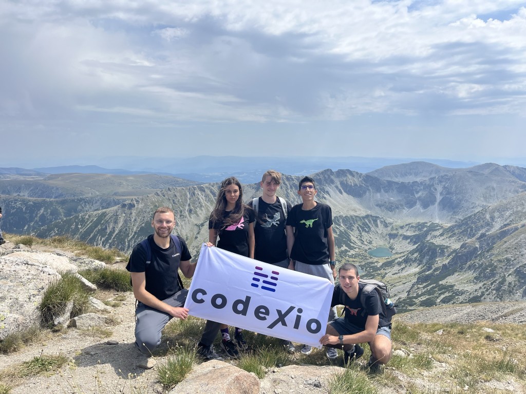 Team at the summit with the Codexio flag